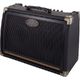 Peavey Ecoustic E208 B-Stock