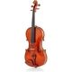 Roth & Junius Largo Viola 16"