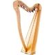 Roth & Junius RJCH-22NB Celtic Lever Harp