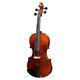 Alfred Stingl by H&ouml;fner AS-180-VA 15" Viola Outfit