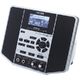 Boss JS-10 eBand