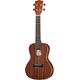 Kala Mahogany Concert Electric