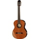 Cordoba C7