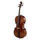Alfred Stingl by H&ouml;fner AS-185-C 4/4 Cello Outfit