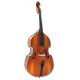 String Instruments