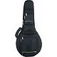 Cases and Bags for misc. String Instruments