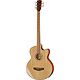 Acoustic and Semi-Acoustic Basses