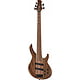 Diverse Basuri cu 5-Corzi