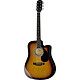 Steel String Guitars