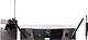 AKG WMS40 PRO FLEXX INST. SET ISM