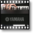Yamaha P155 B
