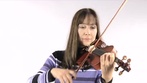Thomann Violinset