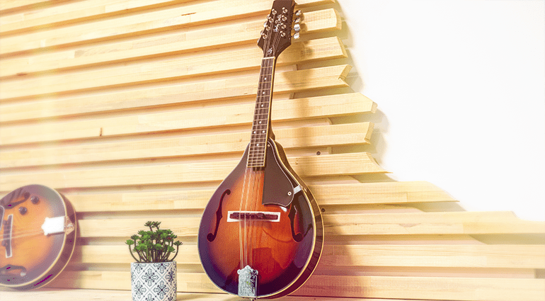 Mandoline - Instrument des Jahres 2023 - Bund Deutscher e.V