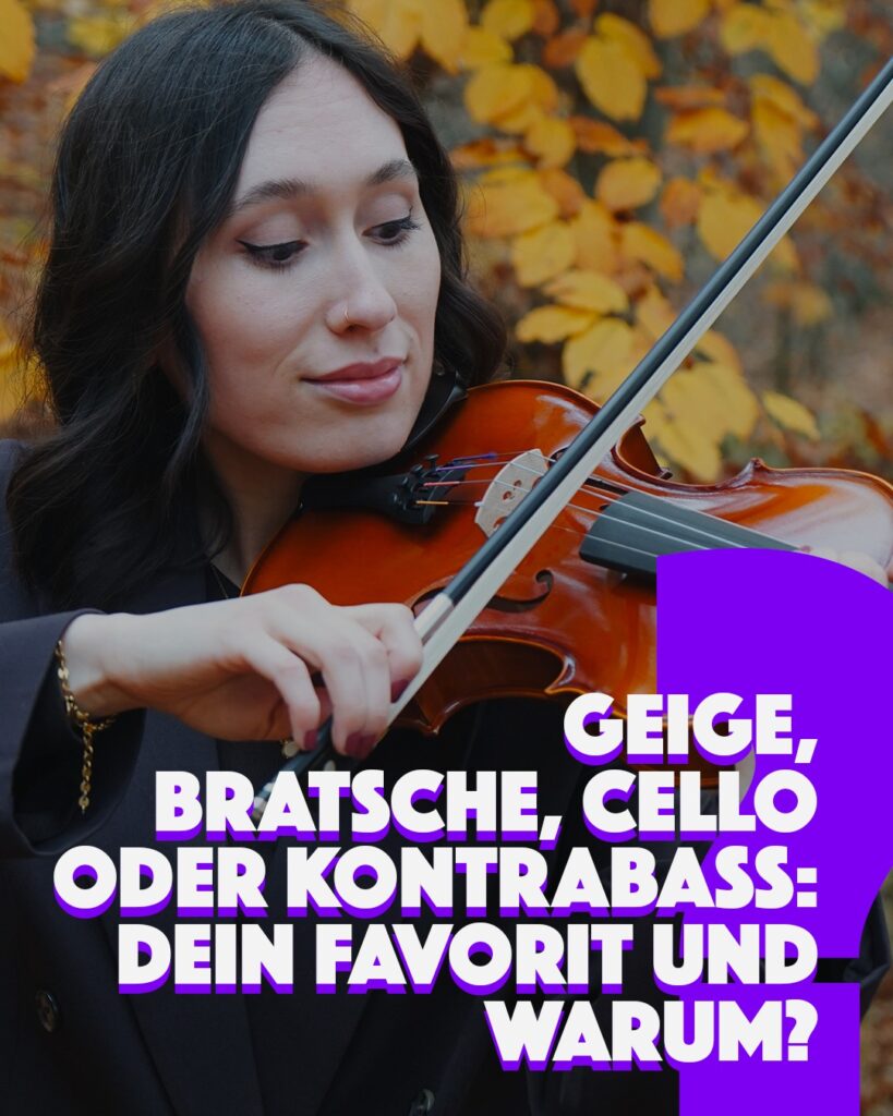 Violine Viola Liebling