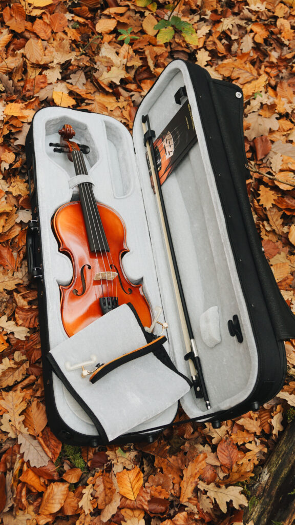 Viola und Violine Unterschiede Ratgeber
