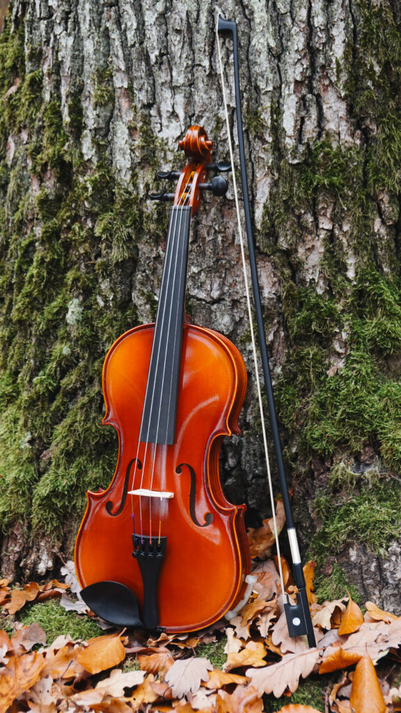 Viola und Violine Unterschiede Ratgeber
