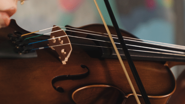 Geige Viola Violine Bratsche Unterschiede