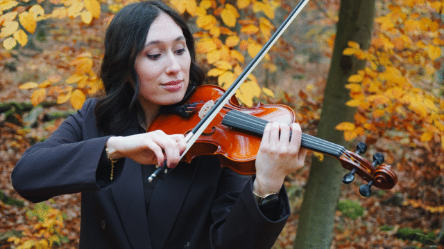 Violine Geige lernen 5 Tipps