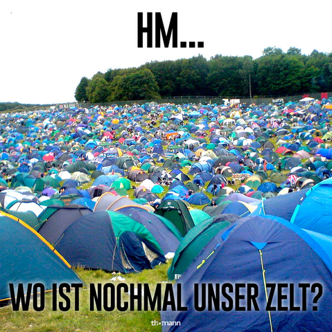 Festival Meme