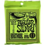 Ernie Ball 2221