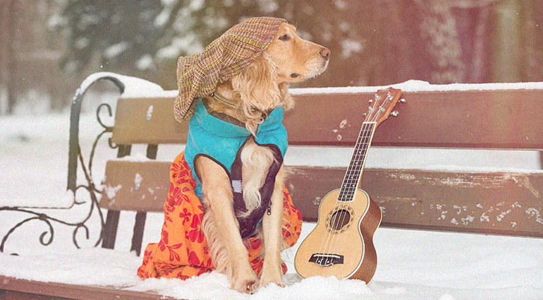How to protect your musical instrument in autumn and winter