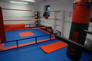 Thomann Boxarena
