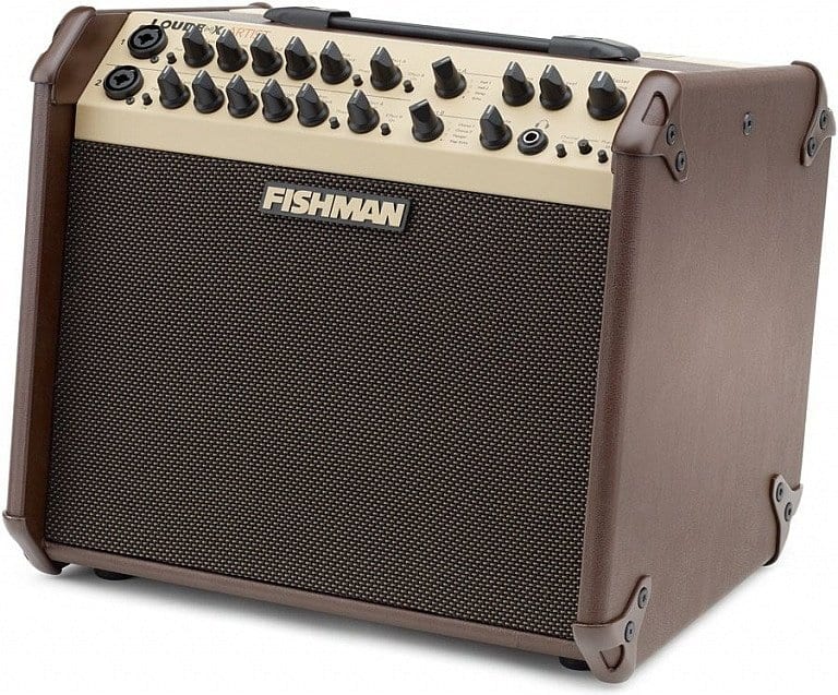 Top 5 acoustic guitar amps for on stage t.blog
