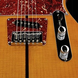 Harley Benton TE-80 NT