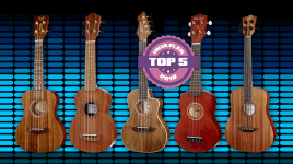 Top 5 Ukulelen 2018