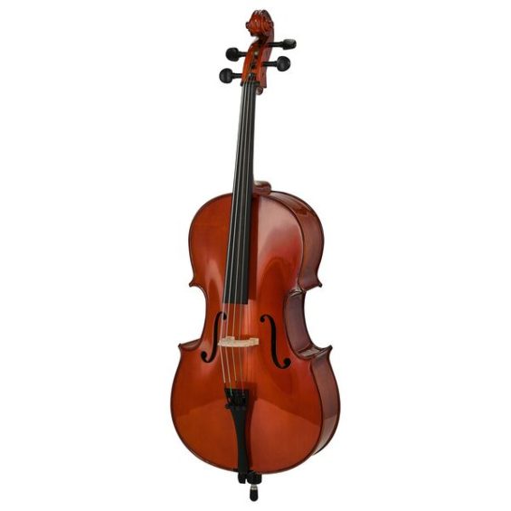 Cello Anatomy of the Instrument for Beginners