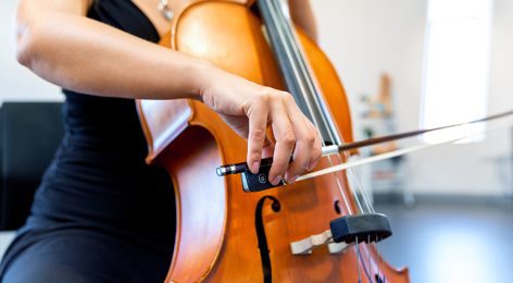 Cello Anatomy of the Instrument for Beginners