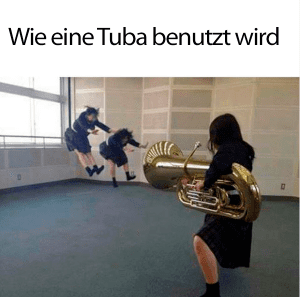 Wie man eine Tuba benutzt meme