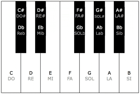 Cours de piano: Comment se nomment les touches d'un piano - Blog Carpe Dièse