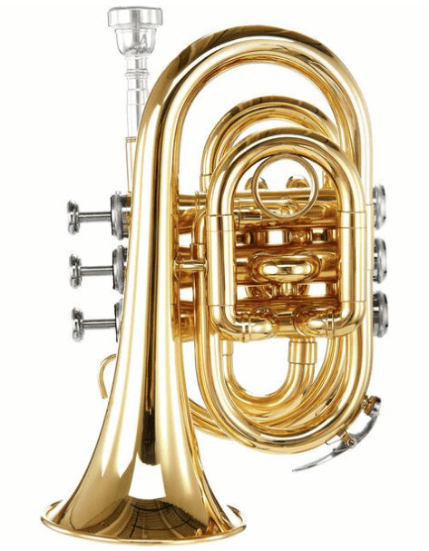 TR5 Bb pocket trumpet from Thomann