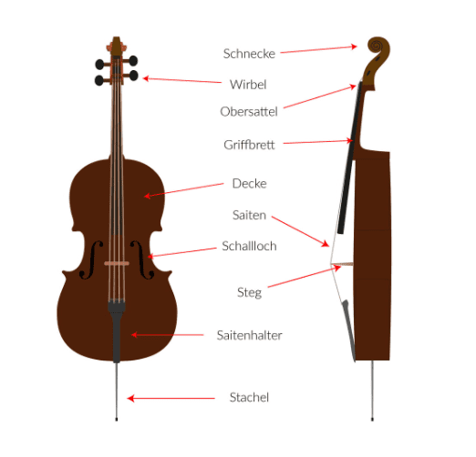 Cello Aufbau