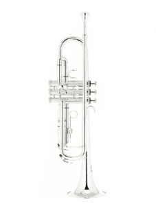 Bb Trumpet Thomann TR 200 S