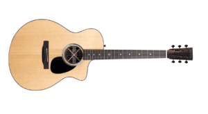 Martin Guitars SC-10E