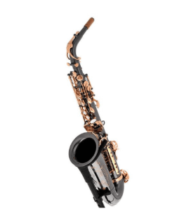 Thomann Custom Line ASBBG