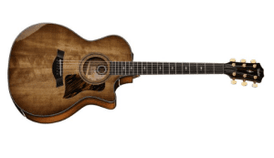 Taylor 314ce Ltd 50th