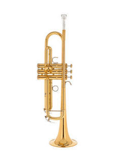 Yamaha YTR-8335LA Trompet - 2. Gen.