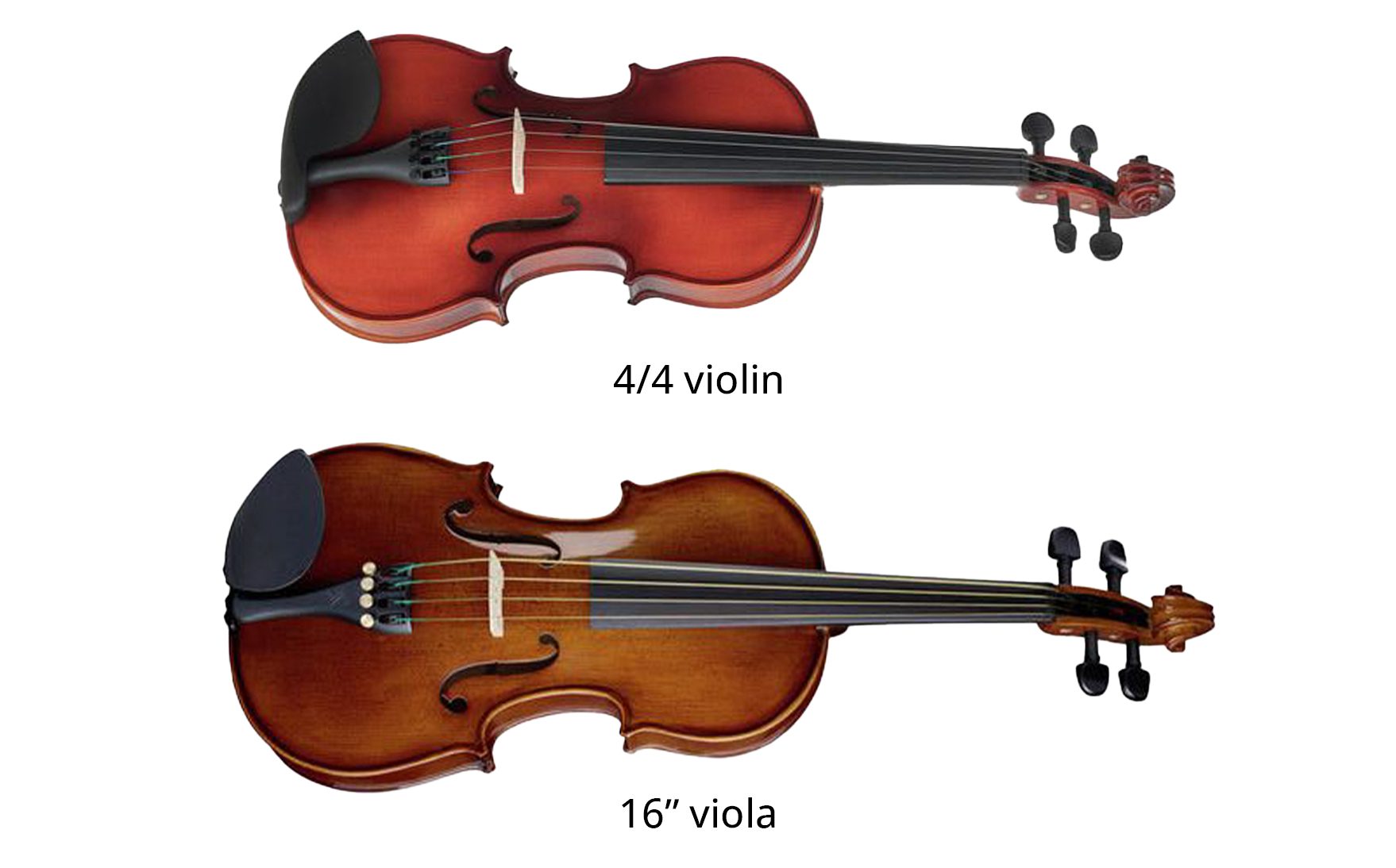 Differences between violin and viola