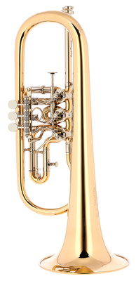 Gerd Dowids BZ-Series Bb-Flgh. B-Stock