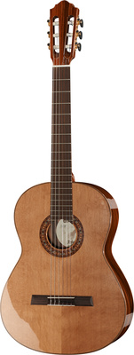 Höfner SE III