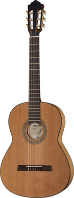 Höfner SE II B-Stock