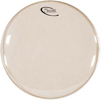 Scott 10" Banjo Head White