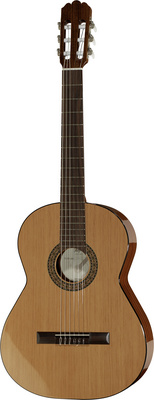Höfner HC503