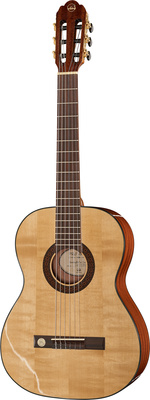 VGS Pro Arte GC 100 II