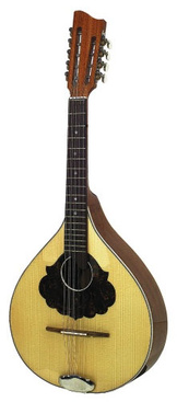 Gewa Waldzither B-Stock
