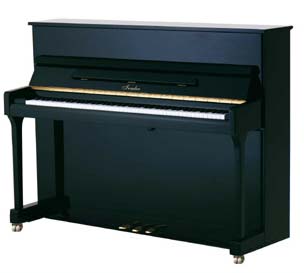 Irmler P 116 E Professional