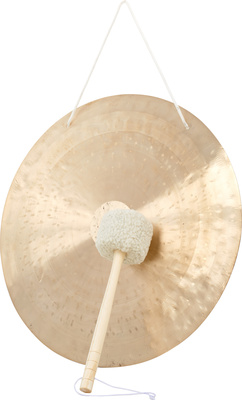 Asian Sound Tamtam TT-65 P